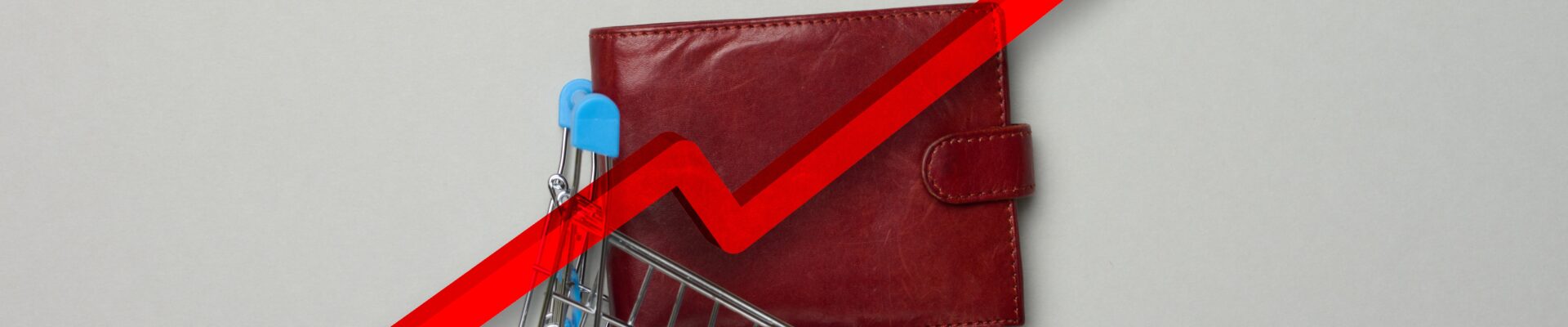 Uma imagem conceitual vista de cima sobre um fundo cinza claro. No centro, há uma carteira de couro marrom e um pequeno carrinho de compras de metal inclinado.