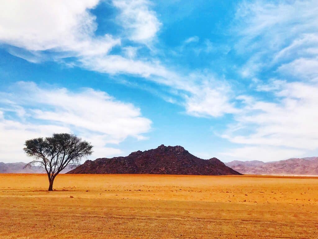 paisagem com clima seco ceu azul e uma arvore