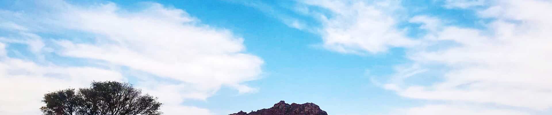 paisagem com clima seco ceu azul e uma arvore