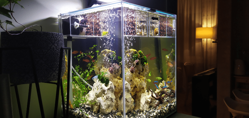 Um aquário grande com peixinhos em uma sala