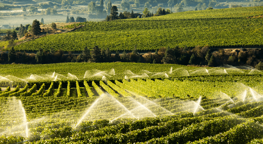 um sistema de irrigação