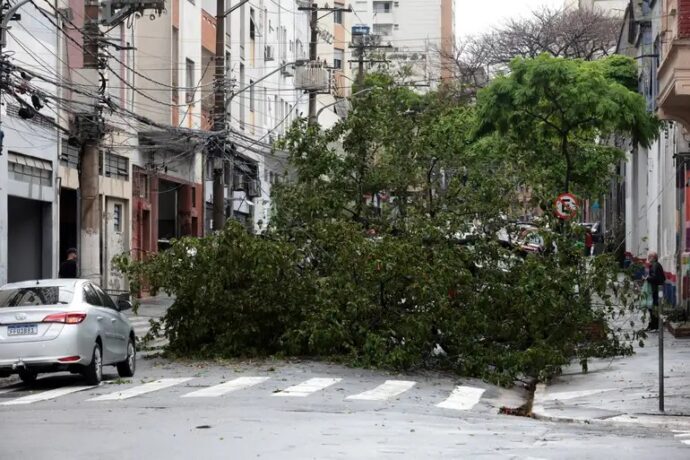 Imagem de uma arvore caido no meio da rua em uma cidade