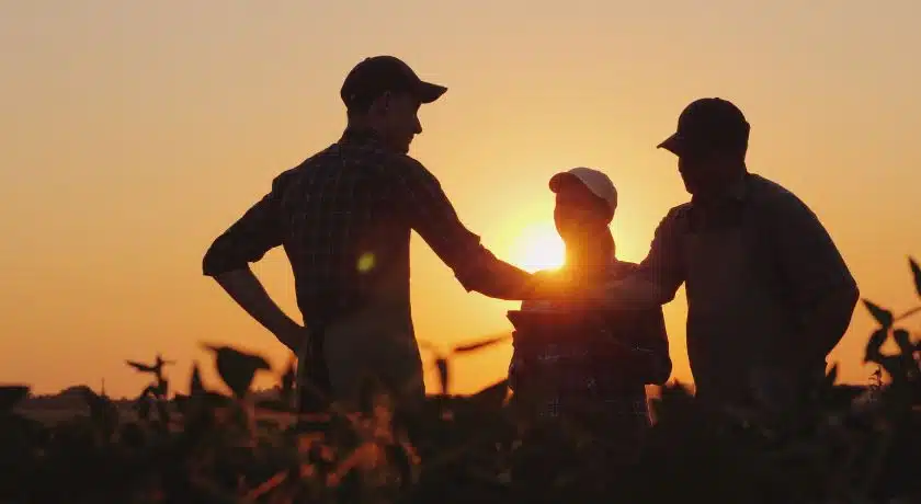 três pessoas no campo fazendo negócios, se cumprimentando