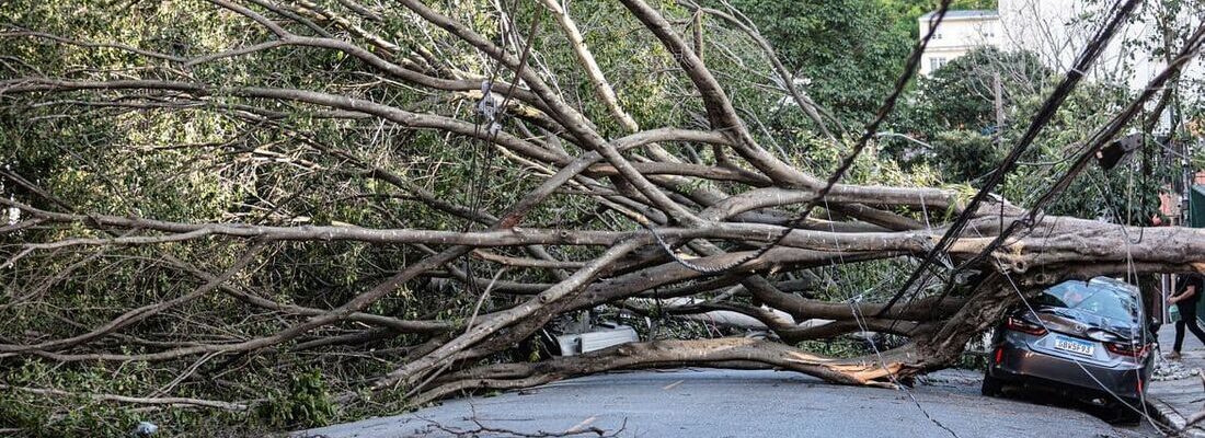 Fotografia de uma rua urbana onde uma árvore de grande porte caiu transversalmente, bloqueando totalmente a via. Os galhos densos atingiram a fiação elétrica e esmagaram a parte traseira de um carro cinza estacionado à direita.