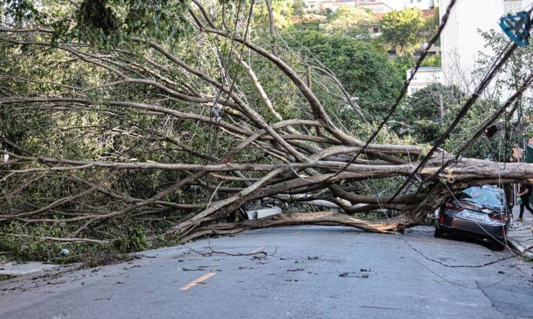 Fotografia de uma rua urbana onde uma árvore de grande porte caiu transversalmente, bloqueando totalmente a via. Os galhos densos atingiram a fiação elétrica e esmagaram a parte traseira de um carro cinza estacionado à direita.