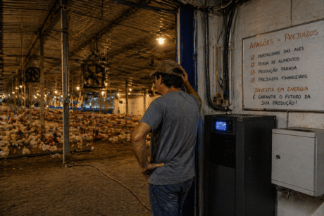 Produtor observa galpão de aves ao lado de nobreak industrial e aviso sobre prejuízos causados por apagões.