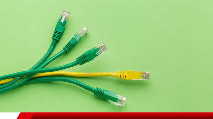 Cabos de rede com conectores RJ45 sobre fundo verde.